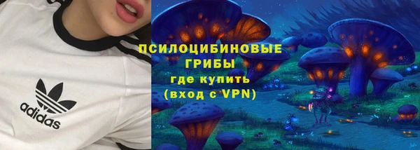 амф Вяземский