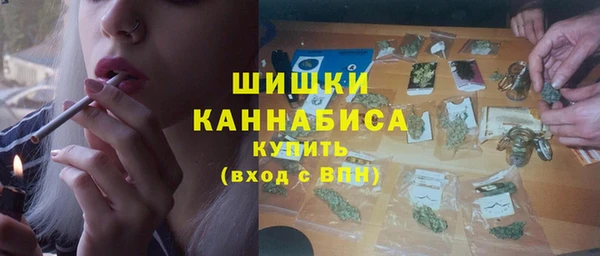 амф Вяземский
