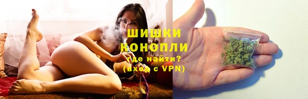 амф Вяземский