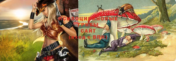 амф Вяземский