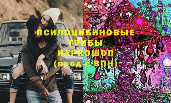 амф Вяземский