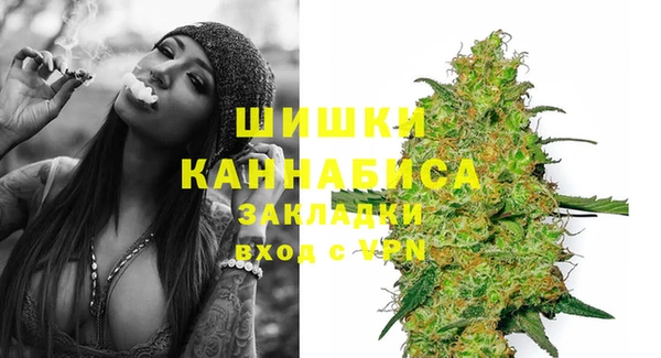 амф Вяземский