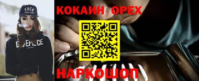 шишки Заволжье