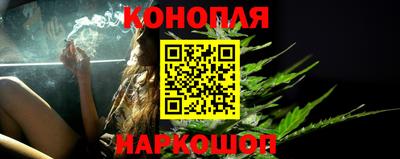 шишки Заволжье