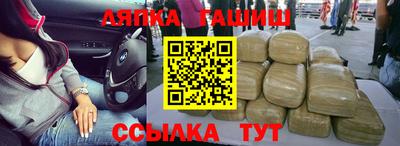 шишки Заволжье