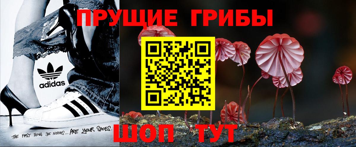 Галлюциногенные грибы MAGIC MUSHROOMS  Вход с VPN  Можга 