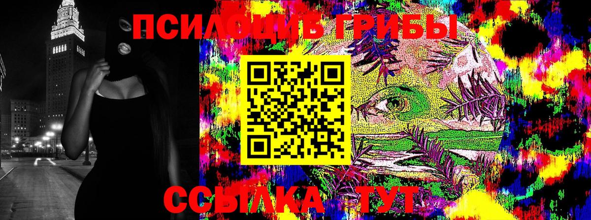 Псилоцибиновые грибы GOLDEN TEACHER Можга